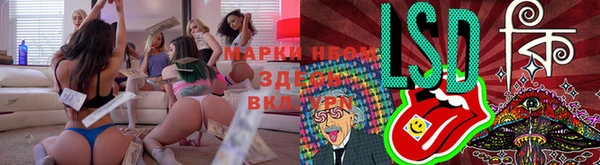 шишки Вязьма